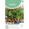Horti Tops Moestuin<Aardbeien Ruby Ann hangaardbei