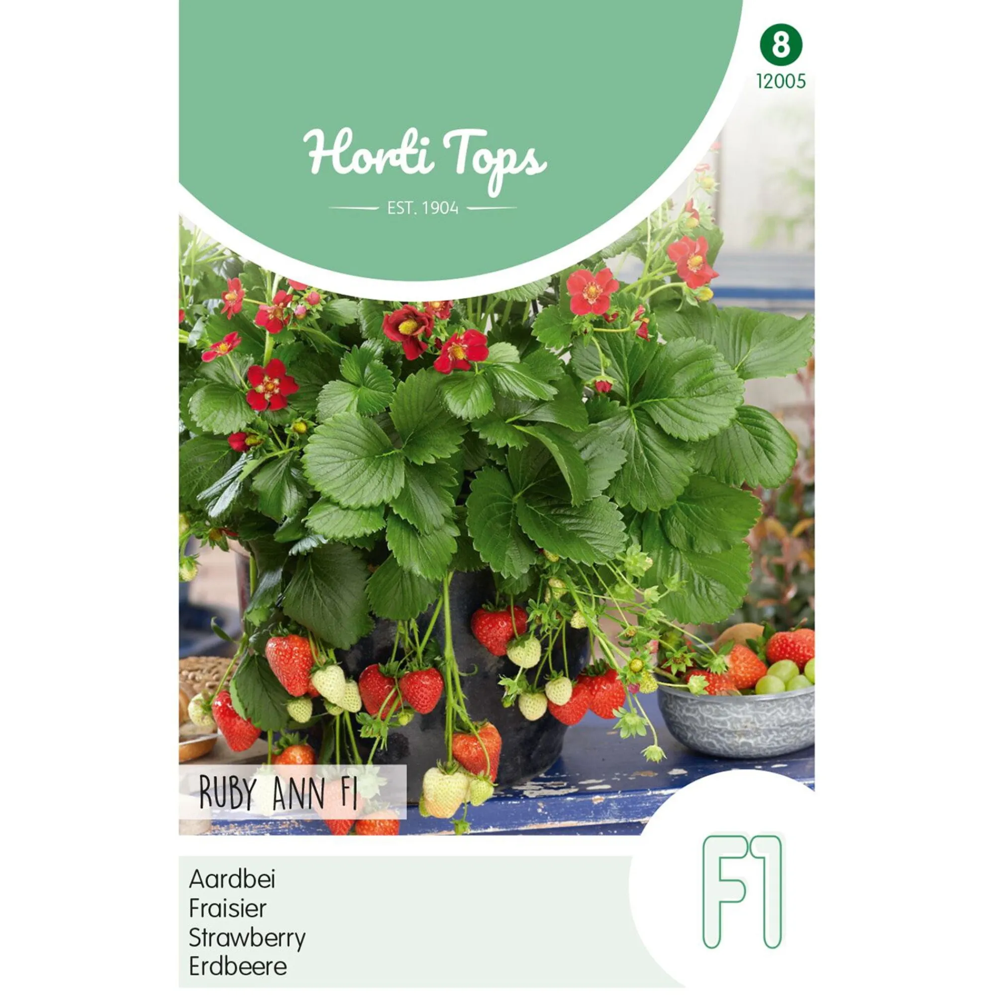 Horti Tops Moestuin<Aardbeien Ruby Ann hangaardbei