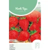 Horti Tops Moestuin<Aardbei Grandian zaad
