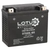 Lotus Accu'S<Accu motor 12V 20Ah DTX20L-BS V2