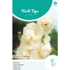 Horti Tops Moestuin<Alcea Majorette champagne (Stokroos) zaad