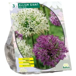Baltus Bodemverbeteraars<Allium Giant mix per 3