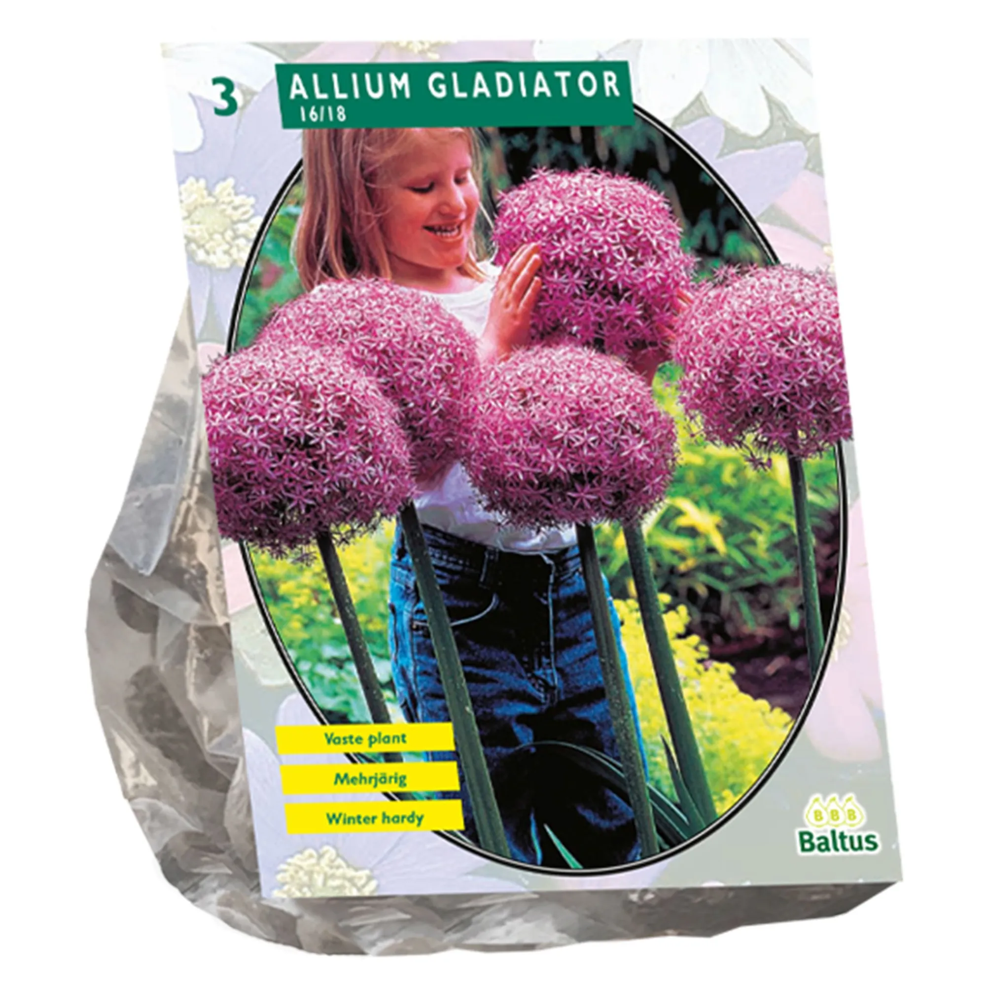 Baltus Bodemverbeteraars<Allium Gladiator His Excellence per 3