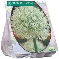 Baltus Bodemverbeteraars<Allium Mount Everest per 3