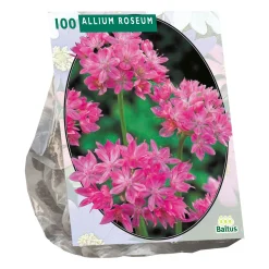 Baltus Bodemverbeteraars<Allium Roseum per 100