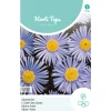 Horti Tops Moestuin<Alpenaster lichtblauw