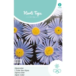 Horti Tops Moestuin<Alpenaster lichtblauw
