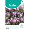 Horti Tops Moestuin<Alyssum Royal carpet