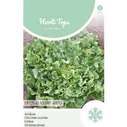 Horti Tops Moestuin<Andijvie breedblad volhart winter