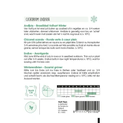Horti Tops Moestuin<Andijvie breedblad volhart winter