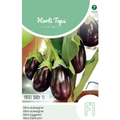 Horti Tops Moestuin<Aubergine patio baby
