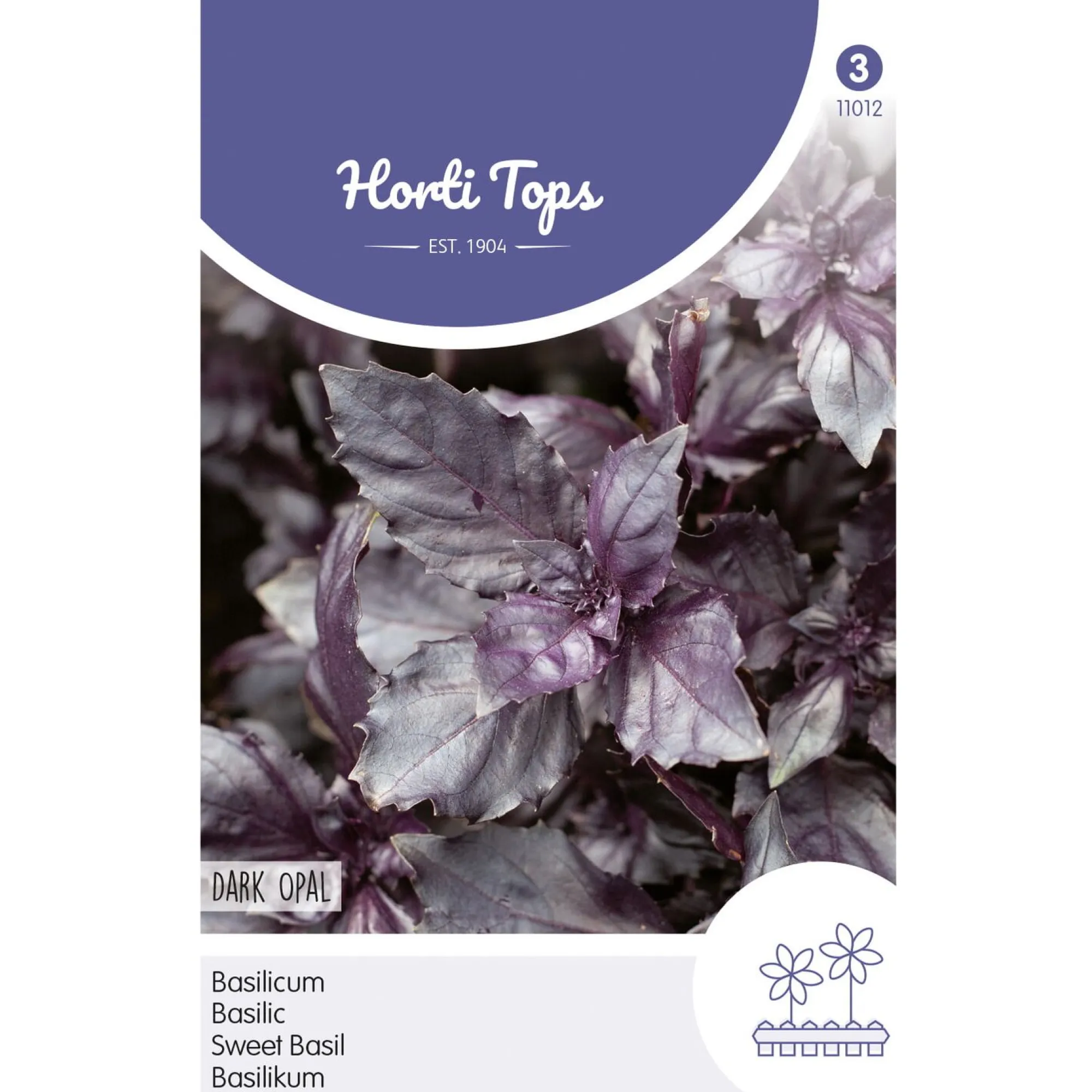 Horti Tops Moestuin<Basilicum dark opal zaad