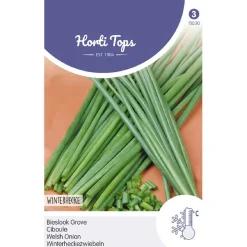 Horti Tops Moestuin<Bieslook grove, zaad