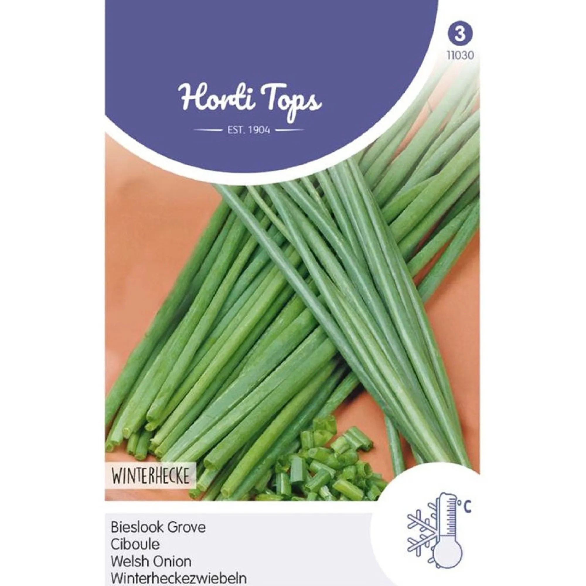 Horti Tops Moestuin<Bieslook grove, zaad