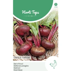 Horti Tops Moestuin<Bieten Egyptische platronde
