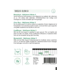 Horti Tops Moestuin<Bloemkool walcheren winter 5