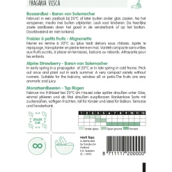 Horti Tops Moestuin<Bosaardbei Baron von Solemacher zaad