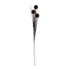 O'malley Kunstplanten En Kunstbloemen<Bruine grasbundel met bol 98 cm