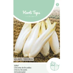 Horti Tops Moestuin<Brussels witlof Hollands middelvroeg