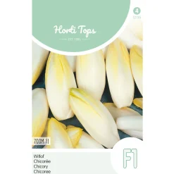 Horti Tops Moestuin<Brussels witlof zoom