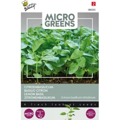Buzzy Moestuin<Citroenbasilicum Microgreens Zaden