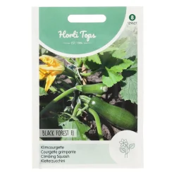 Horti Tops Moestuin<Courgette Black Forest klimmend