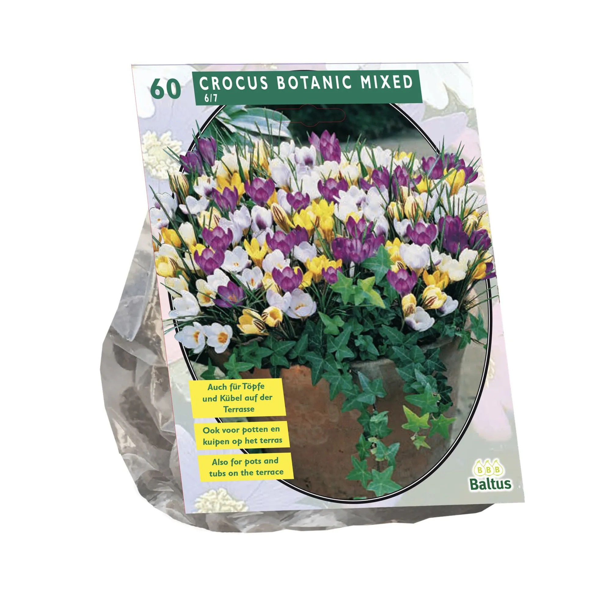 Baltus Bodemverbeteraars<Crocus Botanisch mix per 60