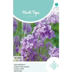 Horti Tops Moestuin<Damastbloem violet
