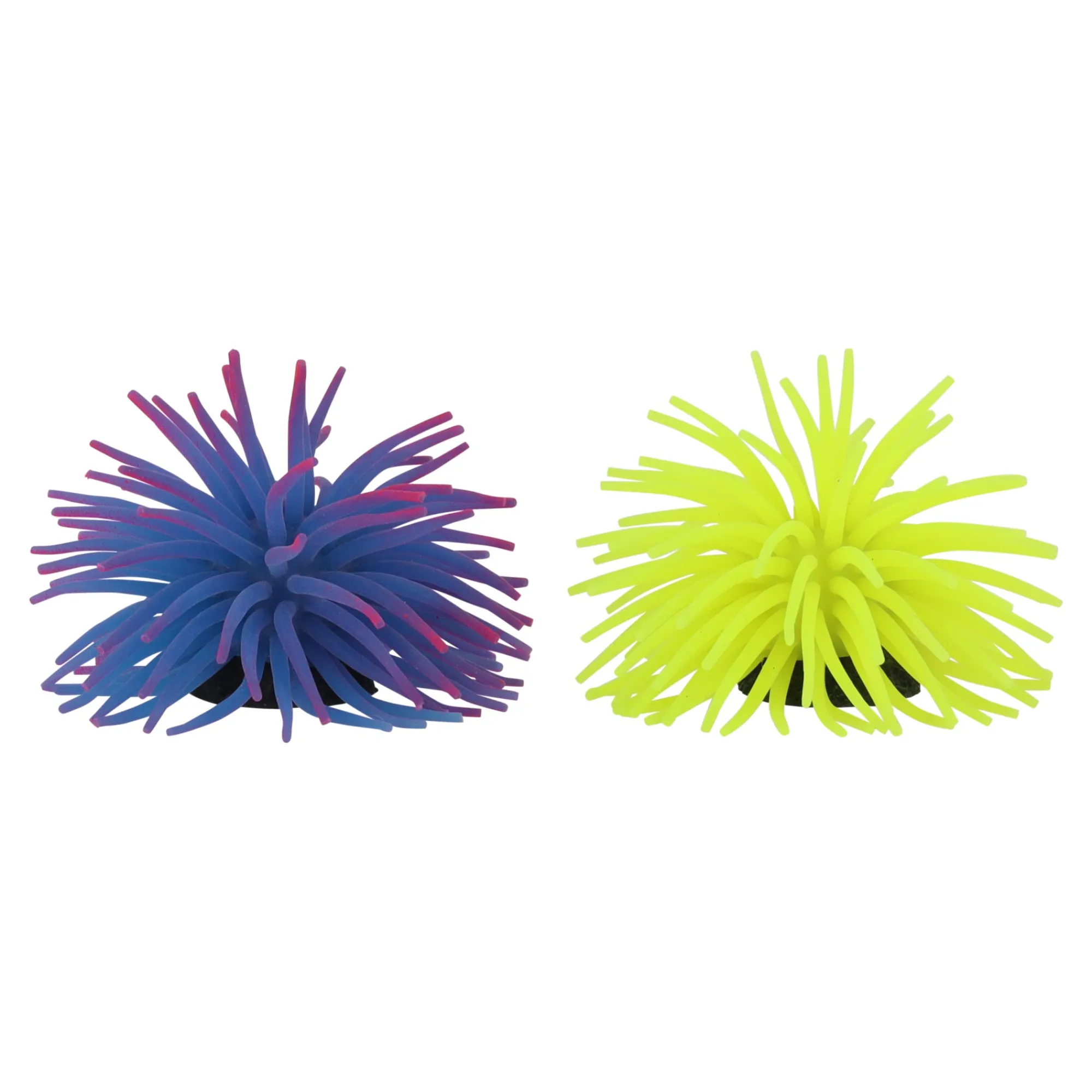 Flamingo Aquariumdecoratie En Accessoires<Deco aqua anemoon M
