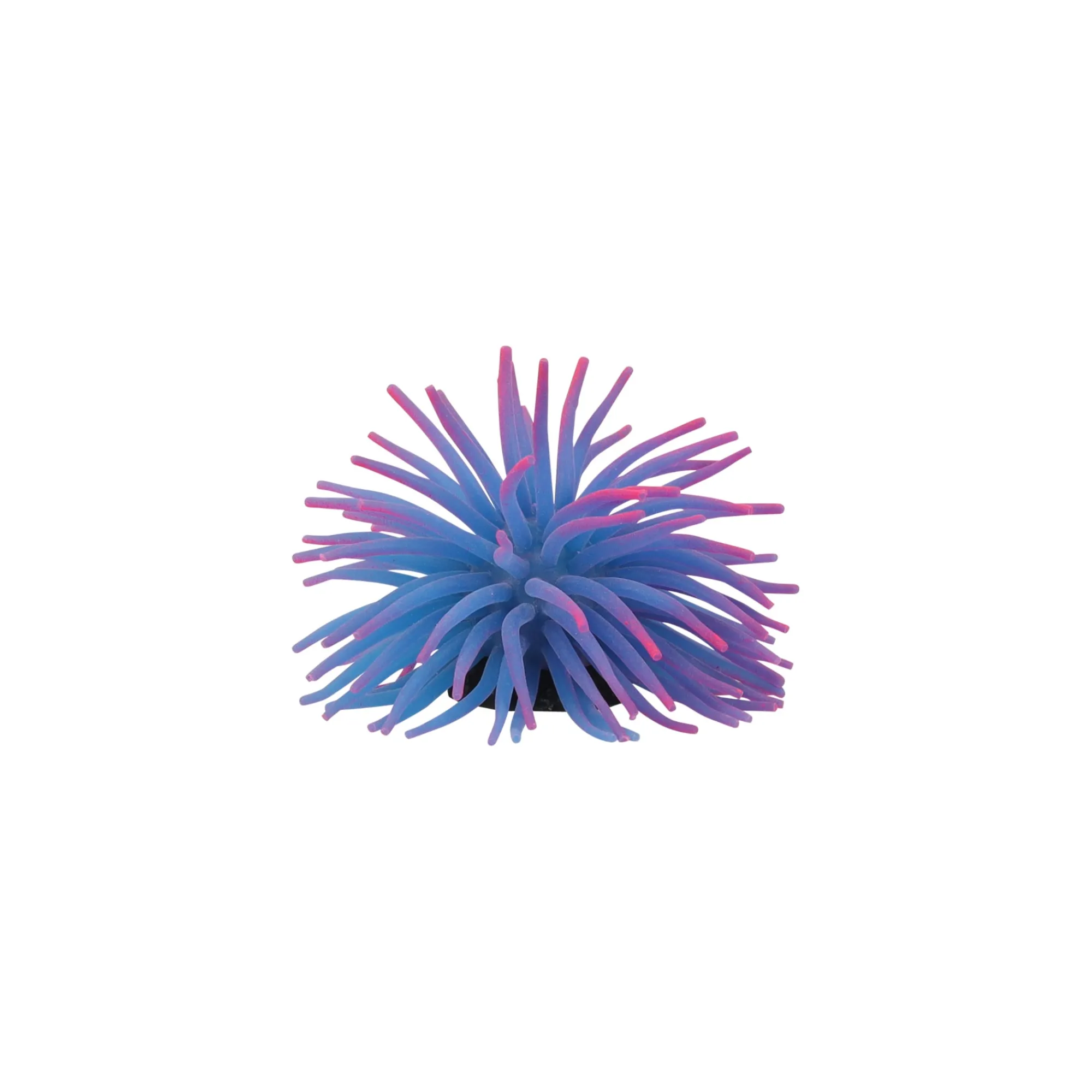 Flamingo Aquariumdecoratie En Accessoires<Deco aqua anemoon M