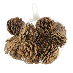 Natural Collections Kerstdecoratie<Dennenappel natural 200g
