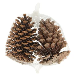 Natural Collections Kerstdecoratie<Dennenappel natural 13 x 13 x 8 cm 2st