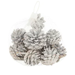 Natural Collections Kerstdecoratie<Dennenappel snowy white 200g