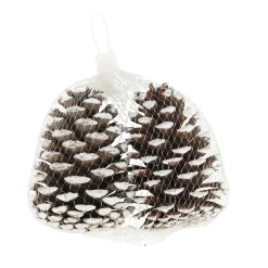 Natural Collections Kerstdecoratie<Dennenappel snowy white 13x13x8 2st