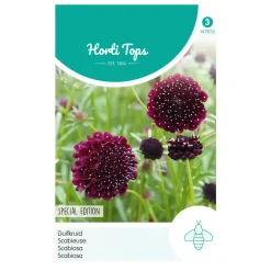Horti Tops Moestuin<Duifkruid diep donkerpaars