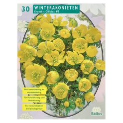 Baltus Bodemverbeteraars<Eranthis Cilicica per 30