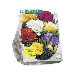 Baltus Bodemverbeteraars<Freesia Mix per 50 dubbel