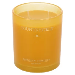 Countryfield Kaarsen<Geurkaars L Optimism geel