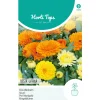 Horti Tops Moestuin<Goudsbloem Fiesta Gitana Mix