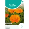 Horti Tops Moestuin<Goudsbloem Orange King