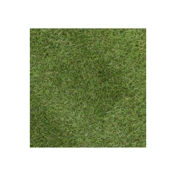 Bel Garden Grondbedekking<Grastapijt Carrow Road 1x2M