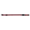 Karlie Flamingo Hondenriem<Halsband LED Vaalo RD 20mm 40-55cm