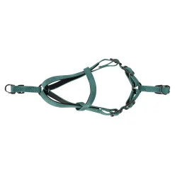 Flamingo Hondentuig<Harnas Delu groen XS 30-35cm 10mm