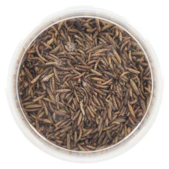 Smulti Vogelvoer<Insectenmix 3L