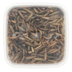 Smulti Vogelvoer<Insectenmix 1.2L