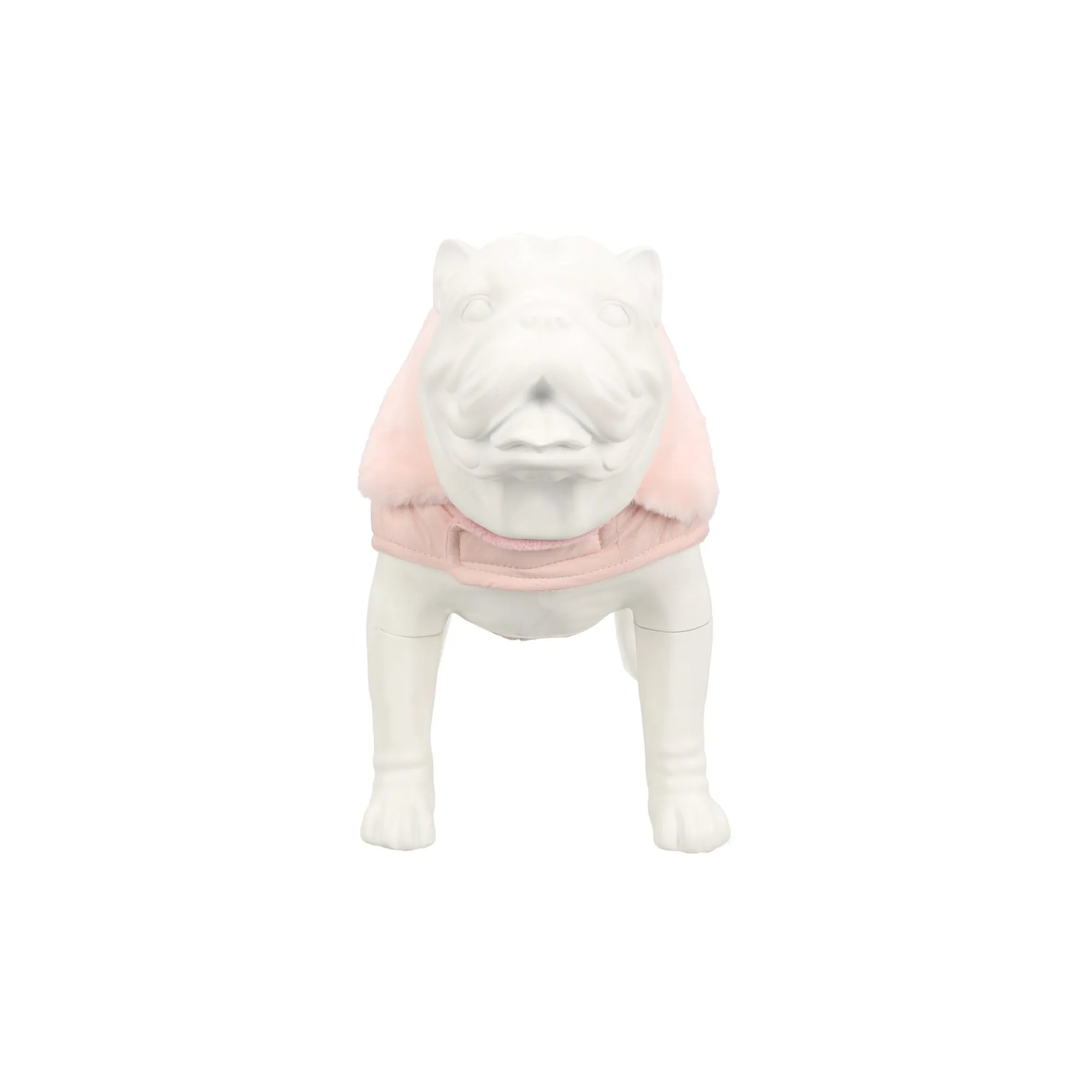 Friendly Pet Hondenjas<Jas H Coco roze 20cm