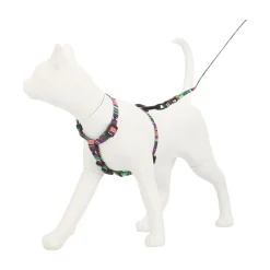 Friendly Pet Kattenverzorging<Kattentuig set jazz stripe eco FP
