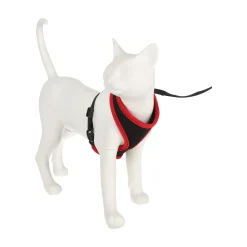 Friendly Pet Kattenverzorging<Kittentuig zwart/rood 10mmx110cm