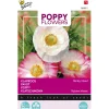 Buzzy Moestuin<Klaproos Shirley mix
