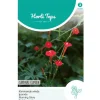 Horti Tops Moestuin<Klimmende winde Cardinal Climber